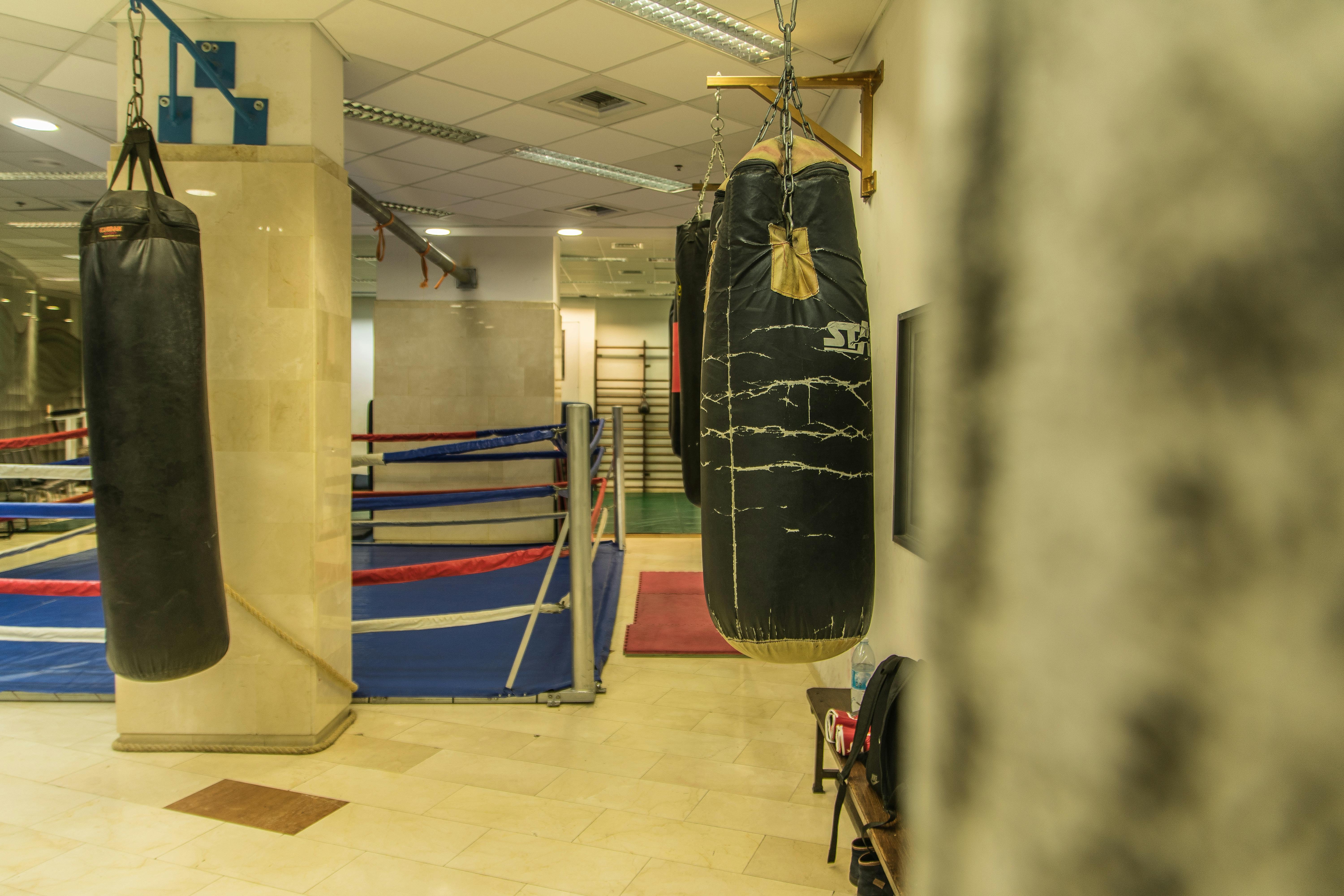 Free stock photo of boxing gym, punching bags