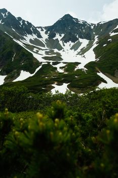 Snow-covered mountain peaks with lush green foreground, showcasing nature's contrasting beauty.
