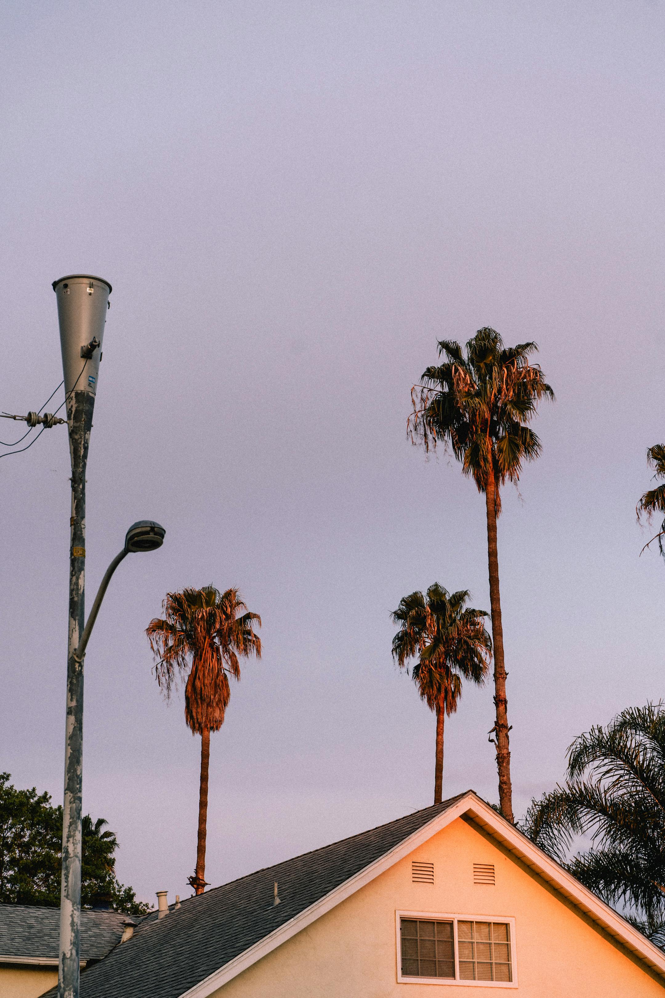 Photograph of a Street Lamp Near a Building · Free Stock Photo