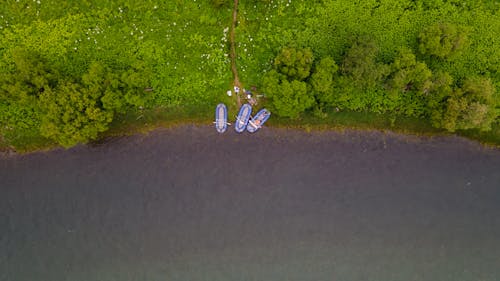Foto profissional grátis de aerofotografia, árvores, barcos