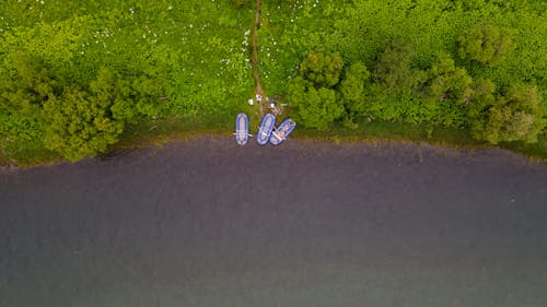 Kostenloses Stock Foto zu aufsicht, bäume, boote