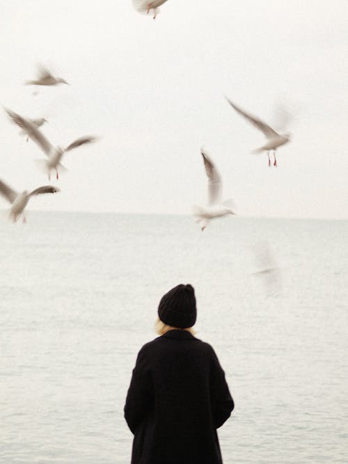 Blond woman in black standing at seashore and seagulls flying around 