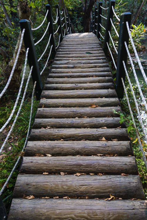 Free Vertical shot of a rustic wooden bridge in a lush forest. Perfect for nature and travel themes. Stock Photo