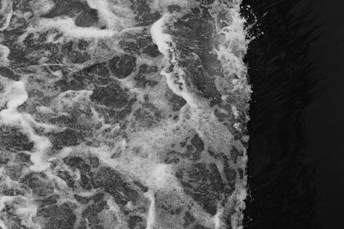 Monochrome Shot of Water Waves