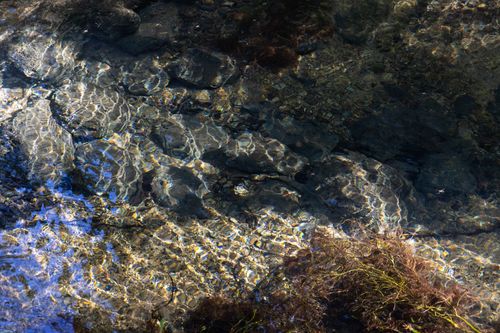 Free Sunlit rippling water over rocks and aquatic plants creates a serene natural scene. Stock Photo