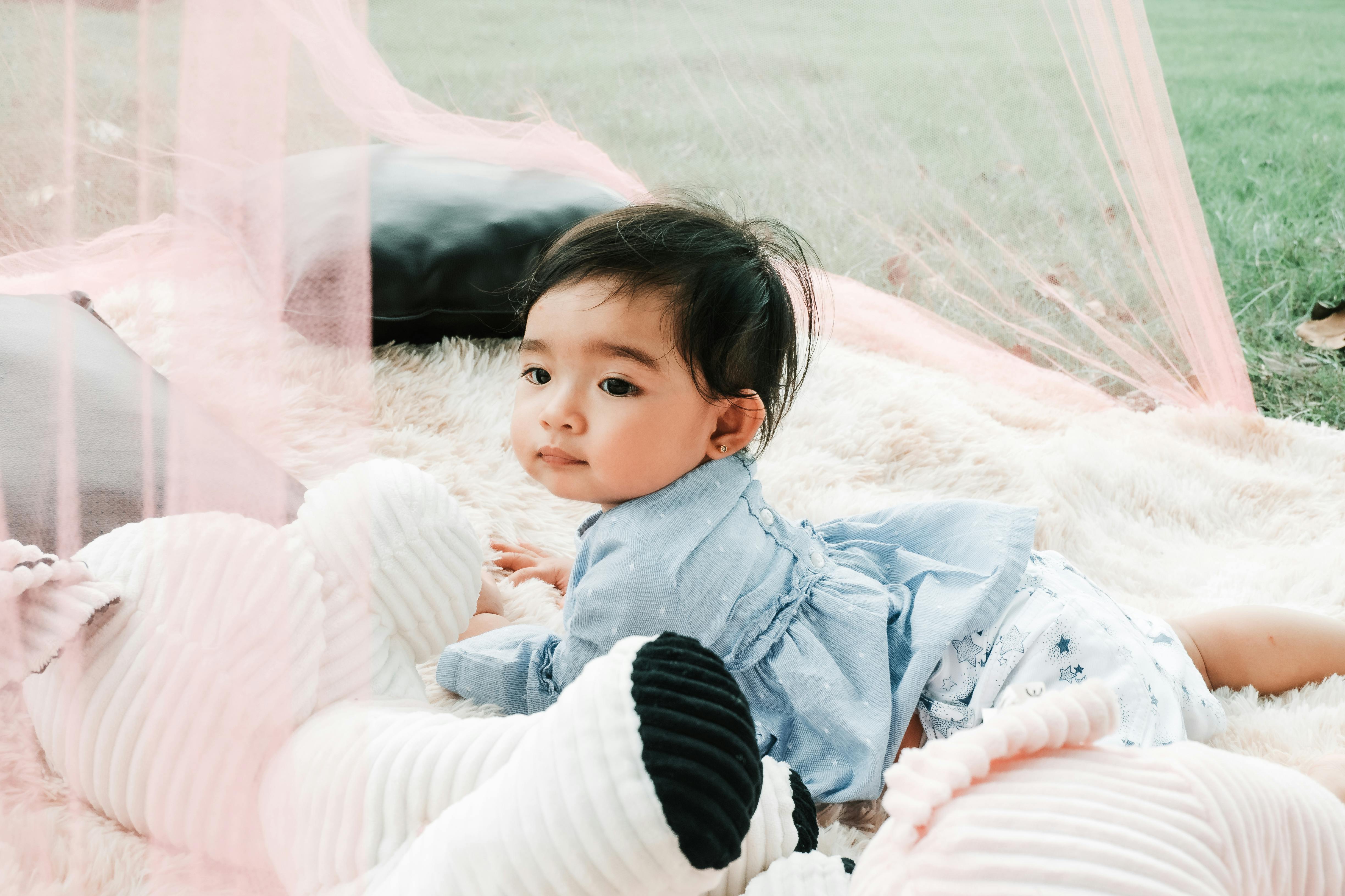 Shoppingstudio.in Kitchen Appliances Reviews & Buying Guide