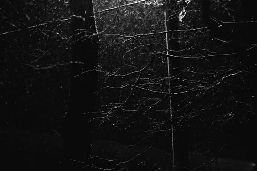 A moody black and white winter scene depicting falling snow at night, illuminated by a streetlight.