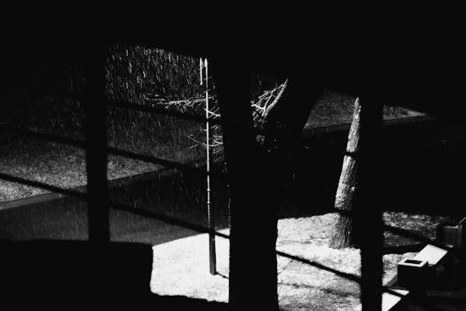 Moody black and white image of rain and trees seen through a window.