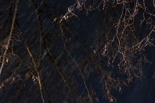 Free Bare tree branches in the rain, set against a dark night sky, creates a mysterious ambiance. Stock Photo