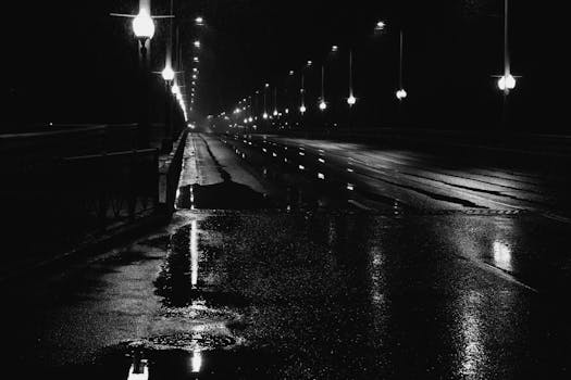 A monochrome street scene at night with wet pavement and glowing lamps.