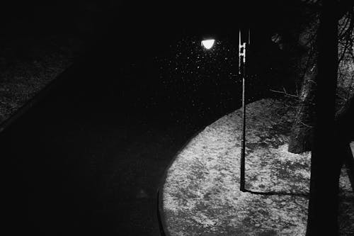 Monochrome Shot of a Lamppost near a Concrete Road