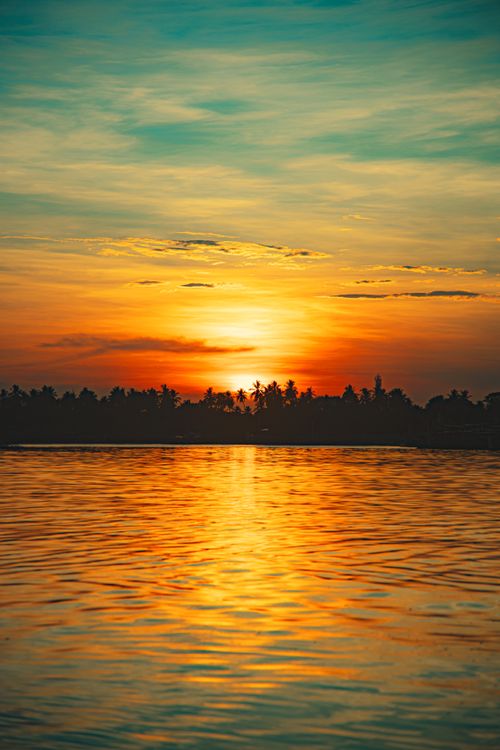 Palm Trees Silhouetted Against Vibrant Sunset · Free Stock Photo