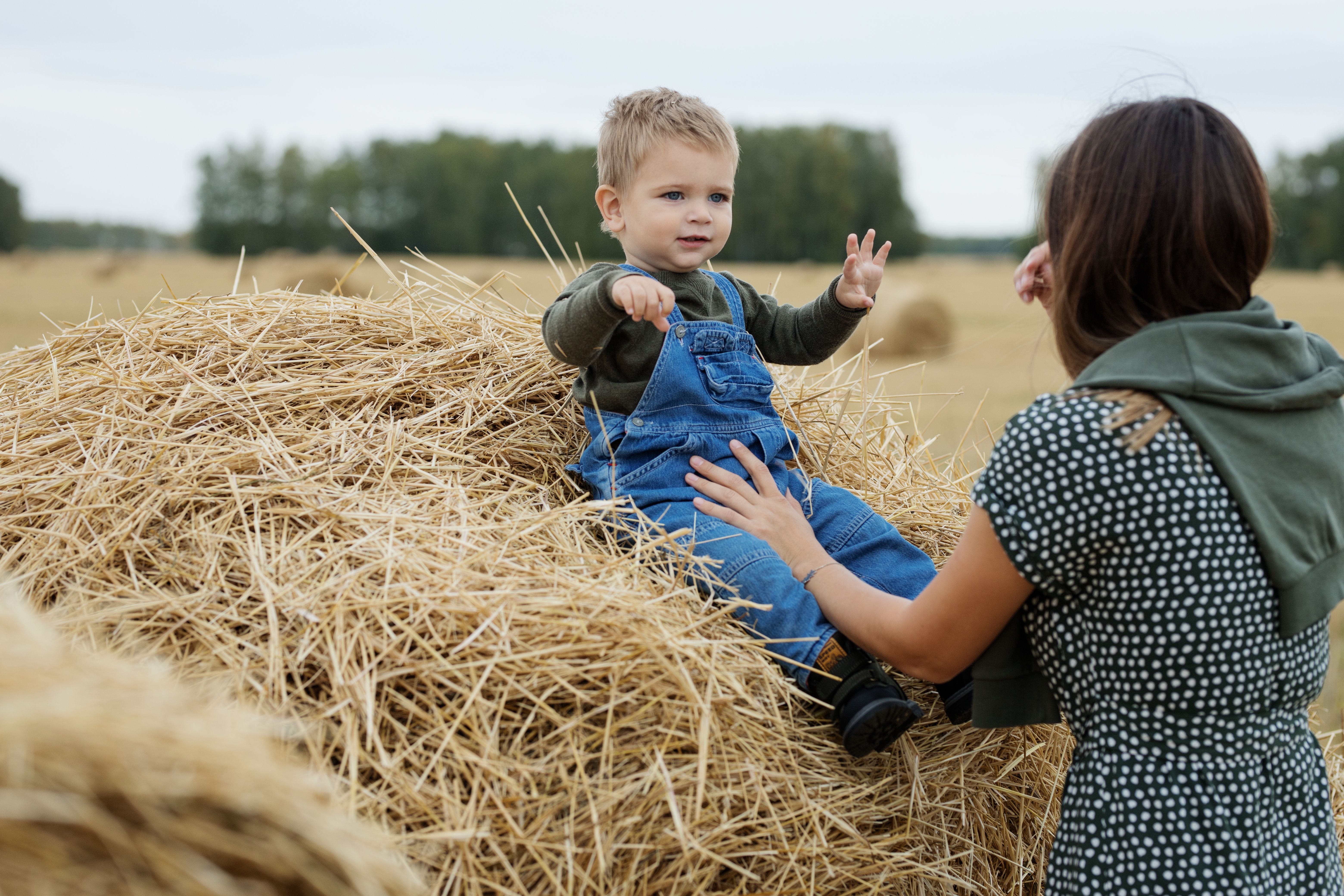 parenting sub niches toddler activities — Photo by Anastasiya Gepp on Pexels