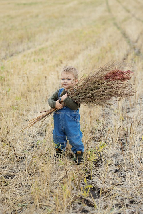 Free A Young Boy Holding Dried Grass while Standing on Grass Field Stock Photo