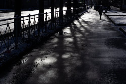 Silhouette of Railings on Sidewalk