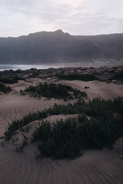 Green Grass Near Body of Water and Mountain Under White Sky