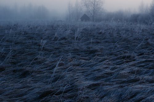 Gratuit Imagine de stoc gratuită din câmp, congelat, frig Fotografie de stoc