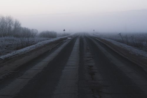 Free A misty countryside road flanked by bare trees in the early dawn light, creating a serene scene. Stock Photo