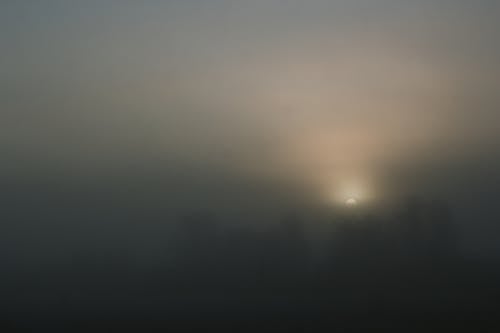 Sun Over Foggy Field with Trees