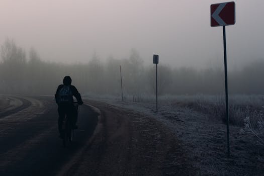 Silhouette of a cyclist biking on a frosty road in foggy winter morning, surrounded by bare trees and road signs.