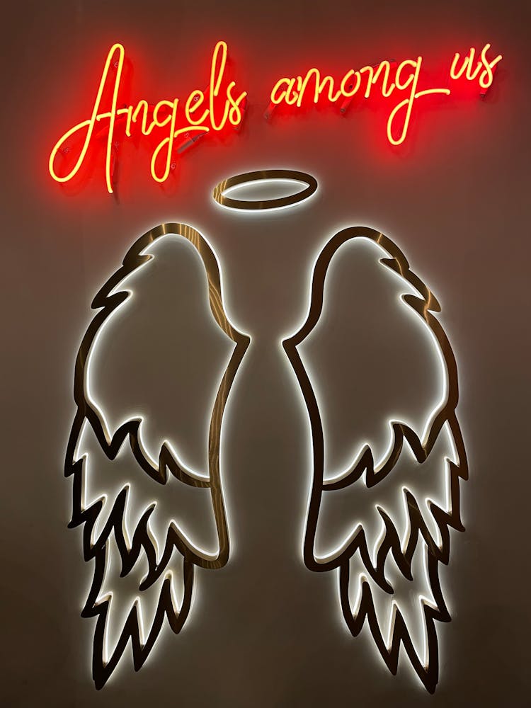 Photograph Of An Angel Neon Signage