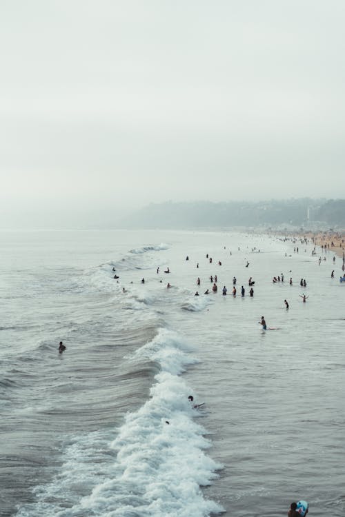 Free People swimming in ocean in Santa Monica, California, USA Stock Photo