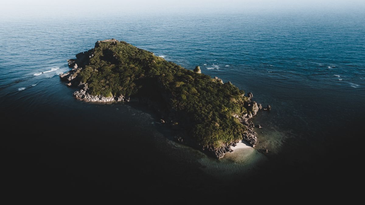 Aerial view of a small lush island surrounded by turquoise ocean waters in southern Japan