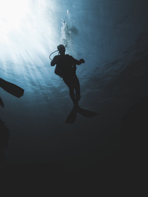 Free Silhouette of scuba diver underwater Stock Photo