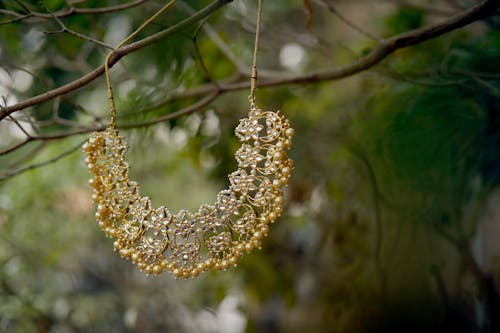 A Gold Necklace Hanging on the Tree Branch