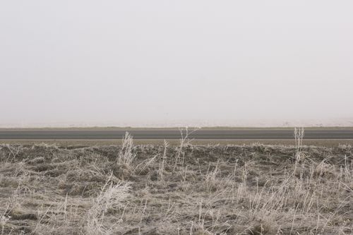 Free A bleak winter roadside scene with frost-covered plants and overcast sky. Stock Photo