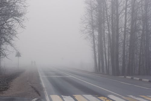 Imagine de stoc gratuită din asfalt, ceață, codru