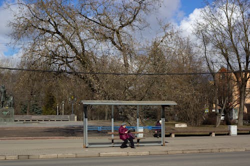 Free Photograph of a Person Waiting at the Bus Stop Stock Photo