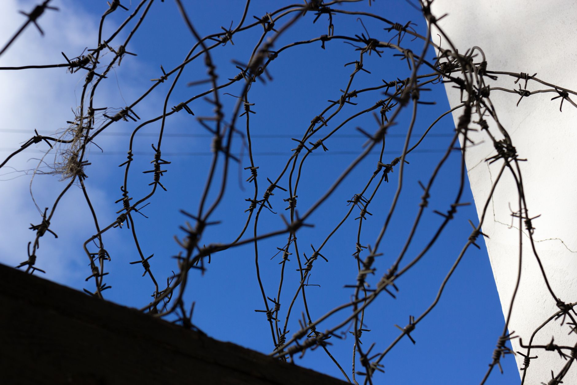 Self-Deportation: What It Really Means for Your Legal Future