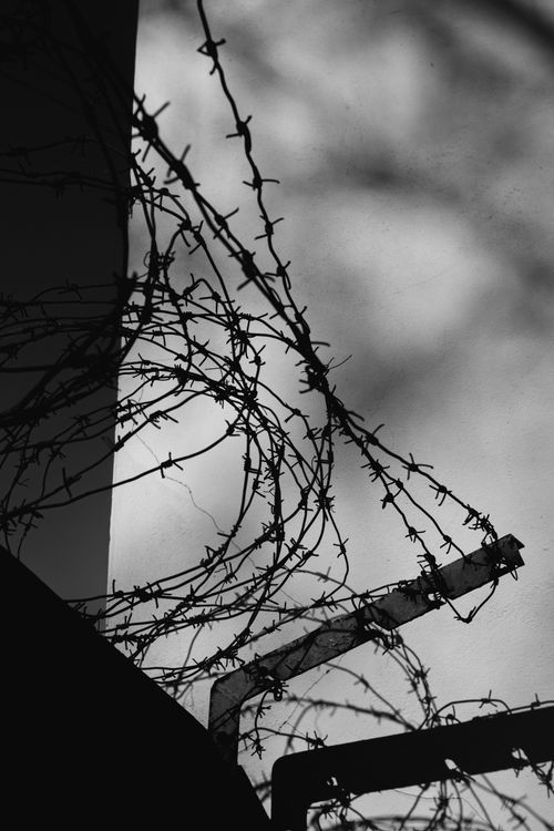 Free A striking black and white image of barbed wire casting shadows on a wall, evoking a sense of tension and security. Stock Photo
