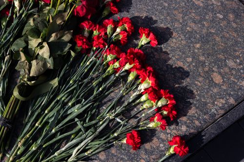 Free A striking arrangement of red carnations laid out on a smooth granite surface, capturing natural beauty in vibrant detail. Stock Photo