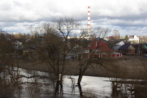 A Town Near the River With Trees