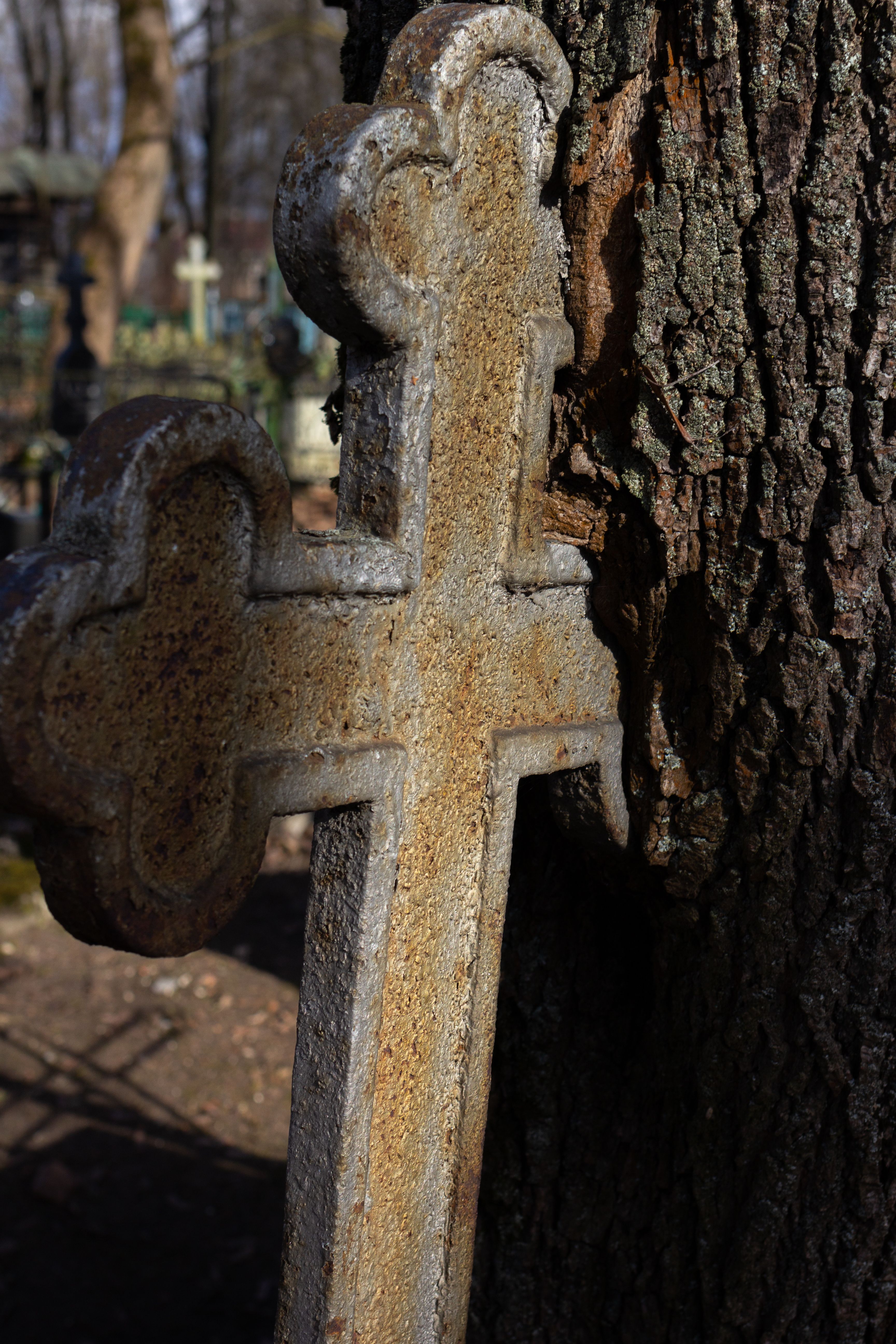 A rusty cross leaning against a tree in an old cemetery, symbolizing decay and nature's reclaim on a sunny day.