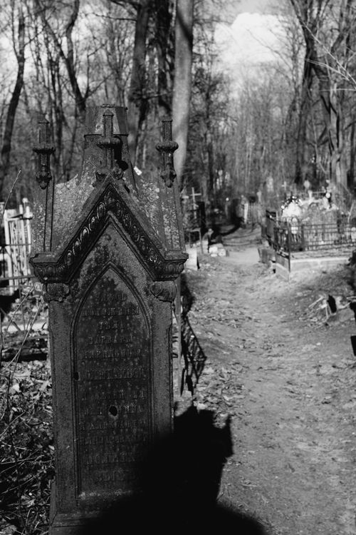 Free Black and white photo of a graveyard path lined with tombstones among bare trees. Stock Photo