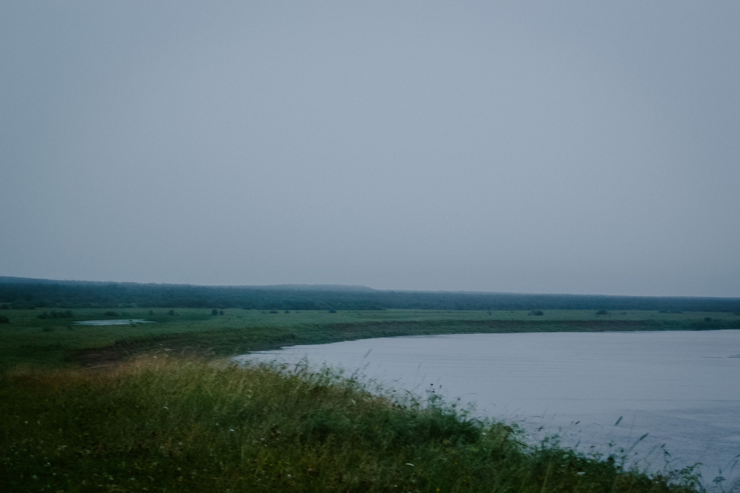An empty wetland shoreline under an overcast sky, with no wildlife visible.