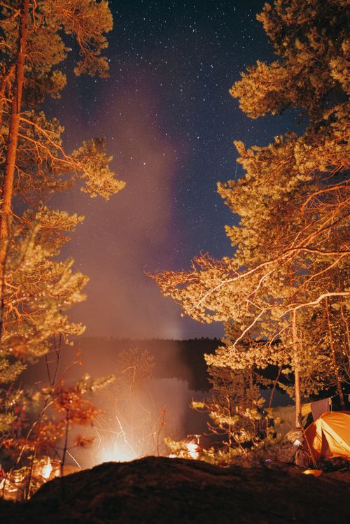 Free Cozy campsite in the forest with starlit sky above, surrounded by trees and warm fire. Stock Photo