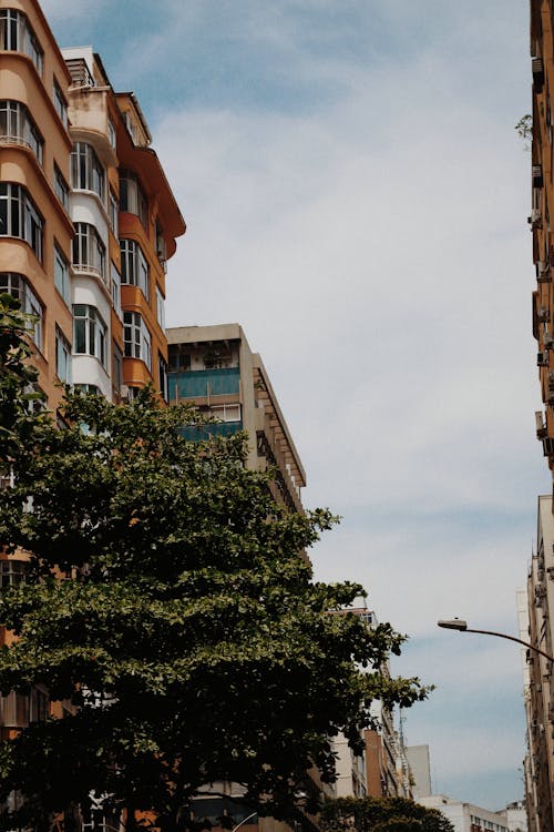 Green Trees Beside Concrete Buildings in Town