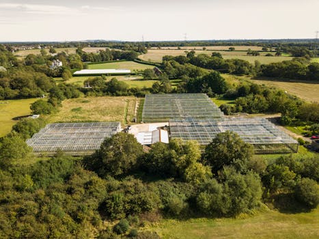Aerial view of greenhouses surrounded by lush greenery and fields in Hook, England.