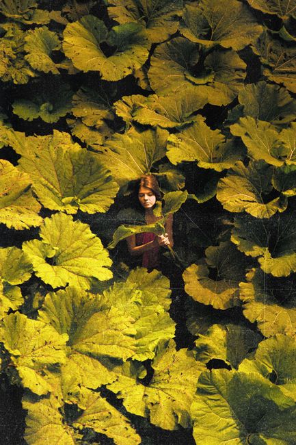 A girl standing among large green burdock leaves, captured in warm natural light.