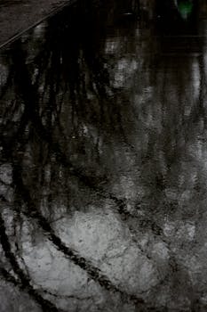 Tree reflections on a water surface create a moody atmosphere in this dark, artistic shot.