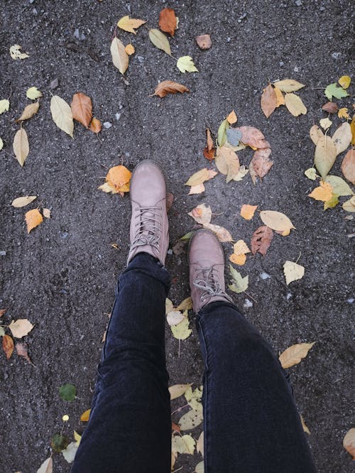 Foto profissional grátis de calça, calçadas, folhas caídas