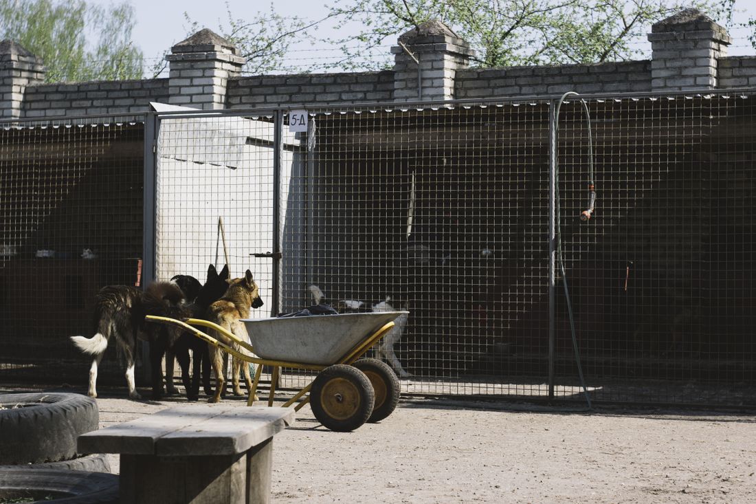 Kennel property exterior