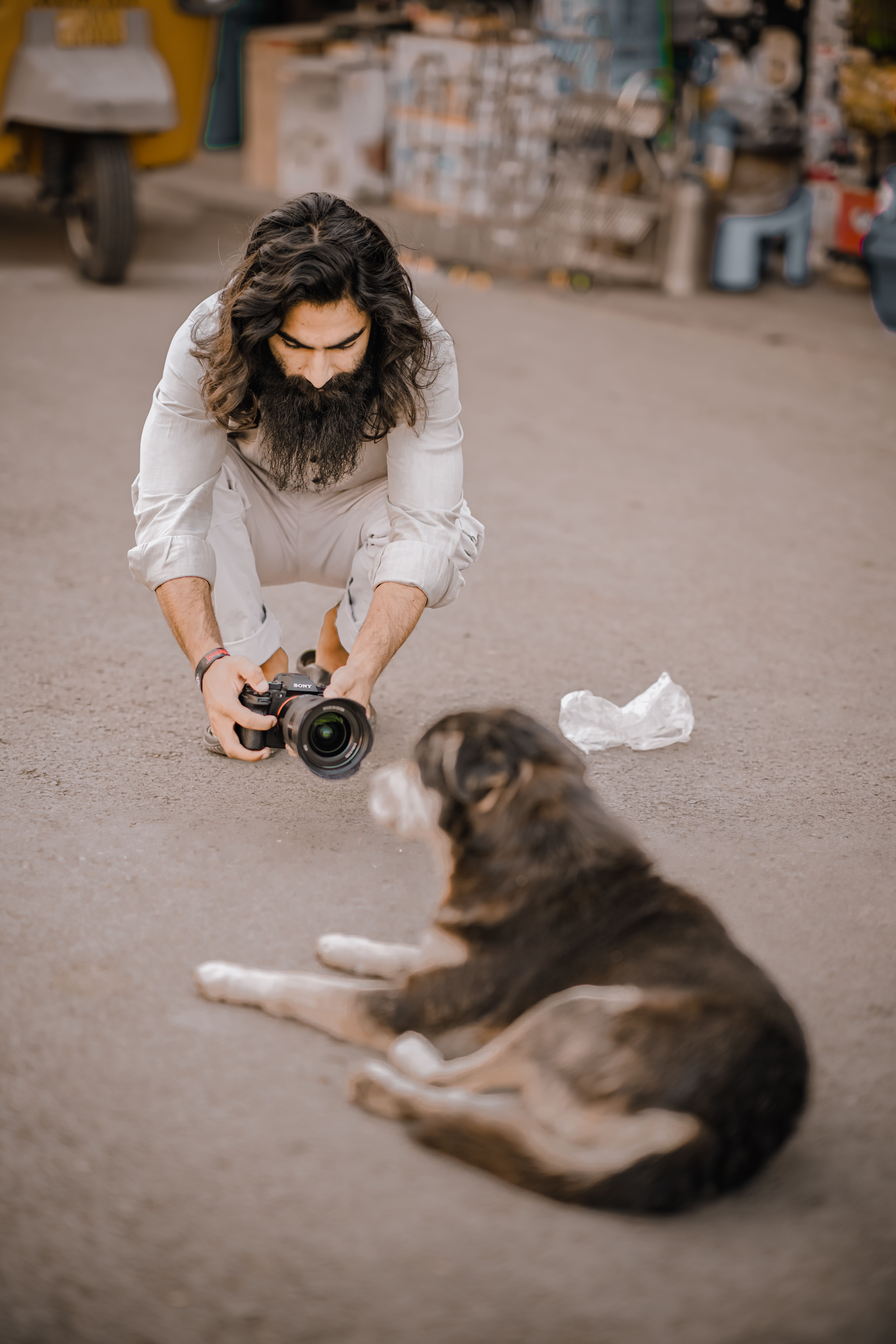 Bearded photographer takes a picture of a dog lying on an urban street.