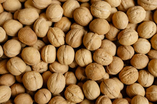 Brown Round Walnuts in Close Up Photography