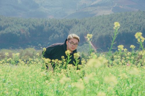 Free Young man with glasses in a blooming canola field against a forested backdrop. Stock Photo
