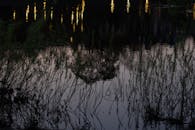 River at Dusk with Reflection of Trees and Illumination